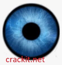 Blue Iris 5.5.6.11 Crack